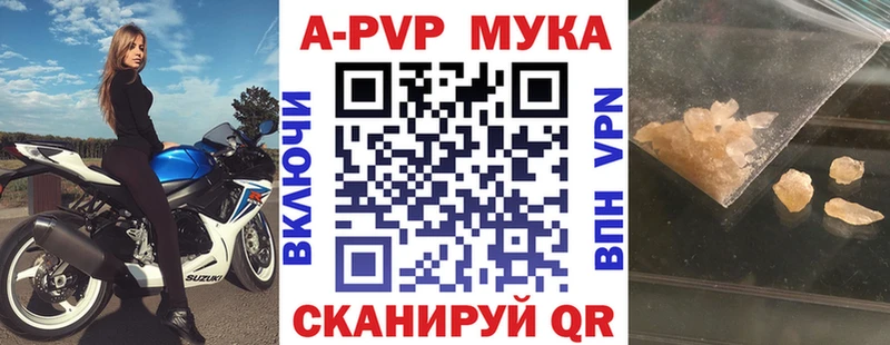 A PVP СК КРИС  Кызыл 