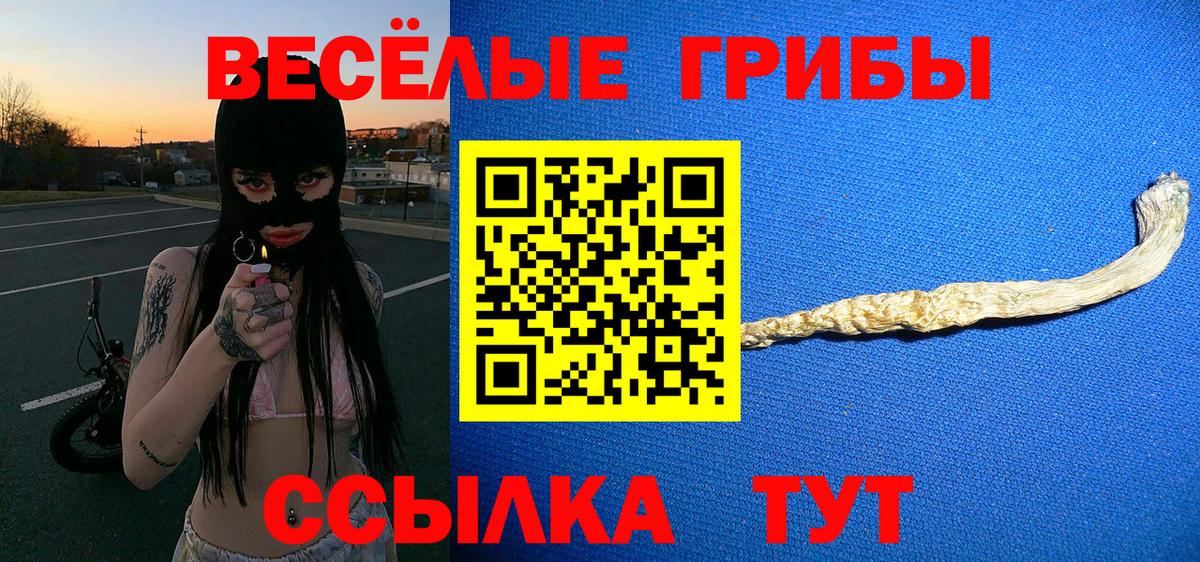 Псилоцибиновые грибы GOLDEN TEACHER Кызыл