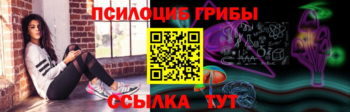 Галлюциногенные грибы мицелий Кызыл